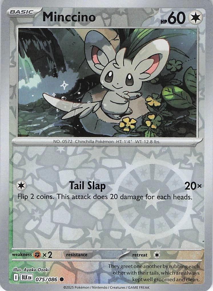Minccino