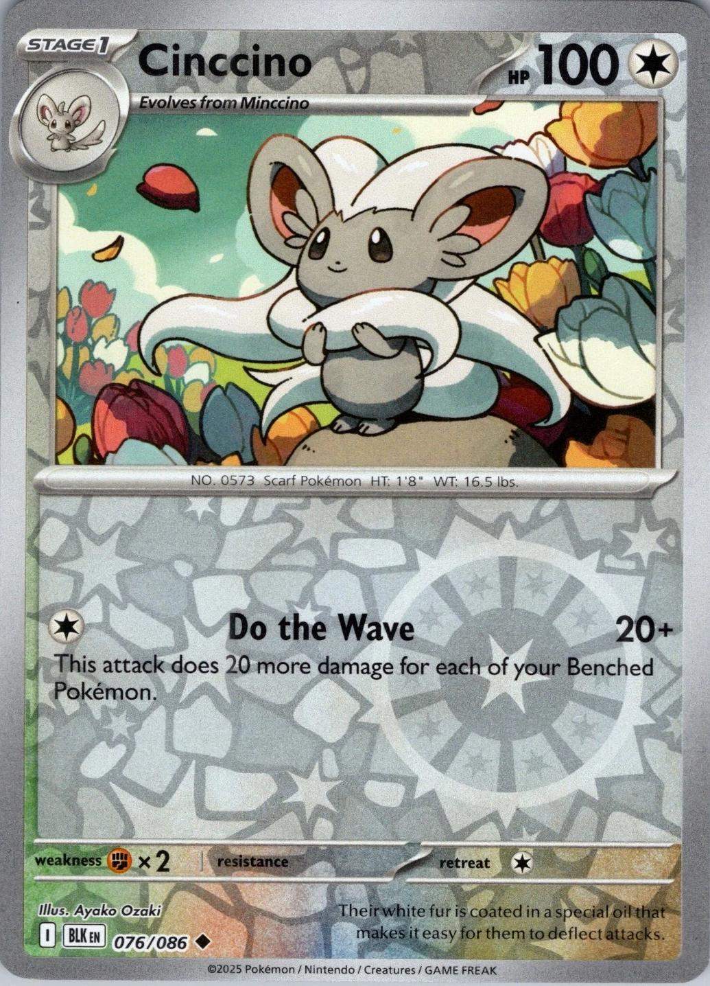 Cinccino