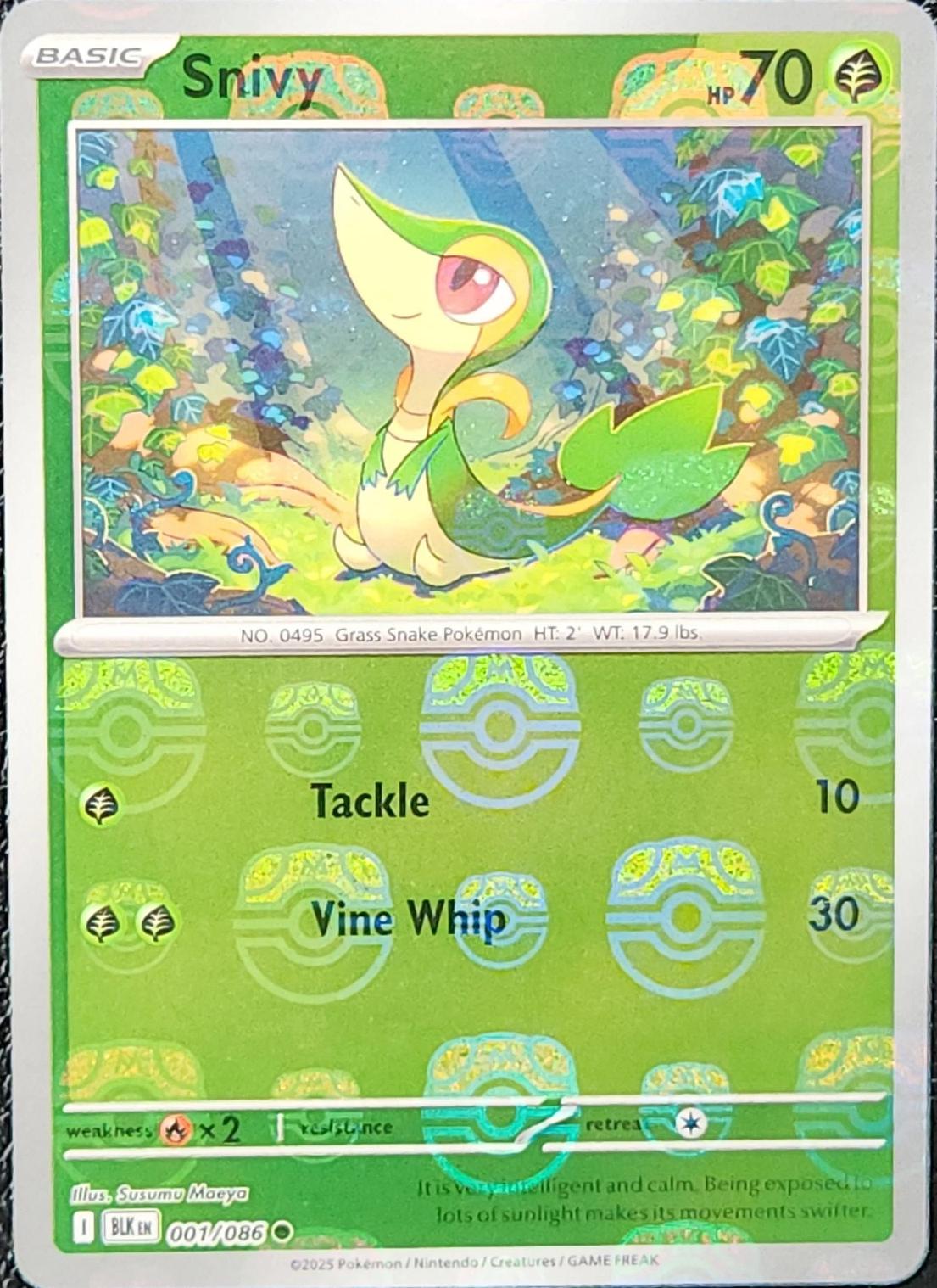 Snivy