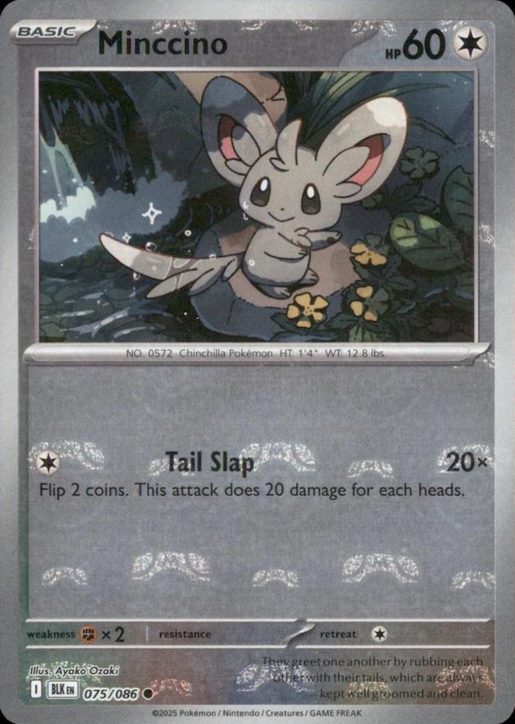 Minccino