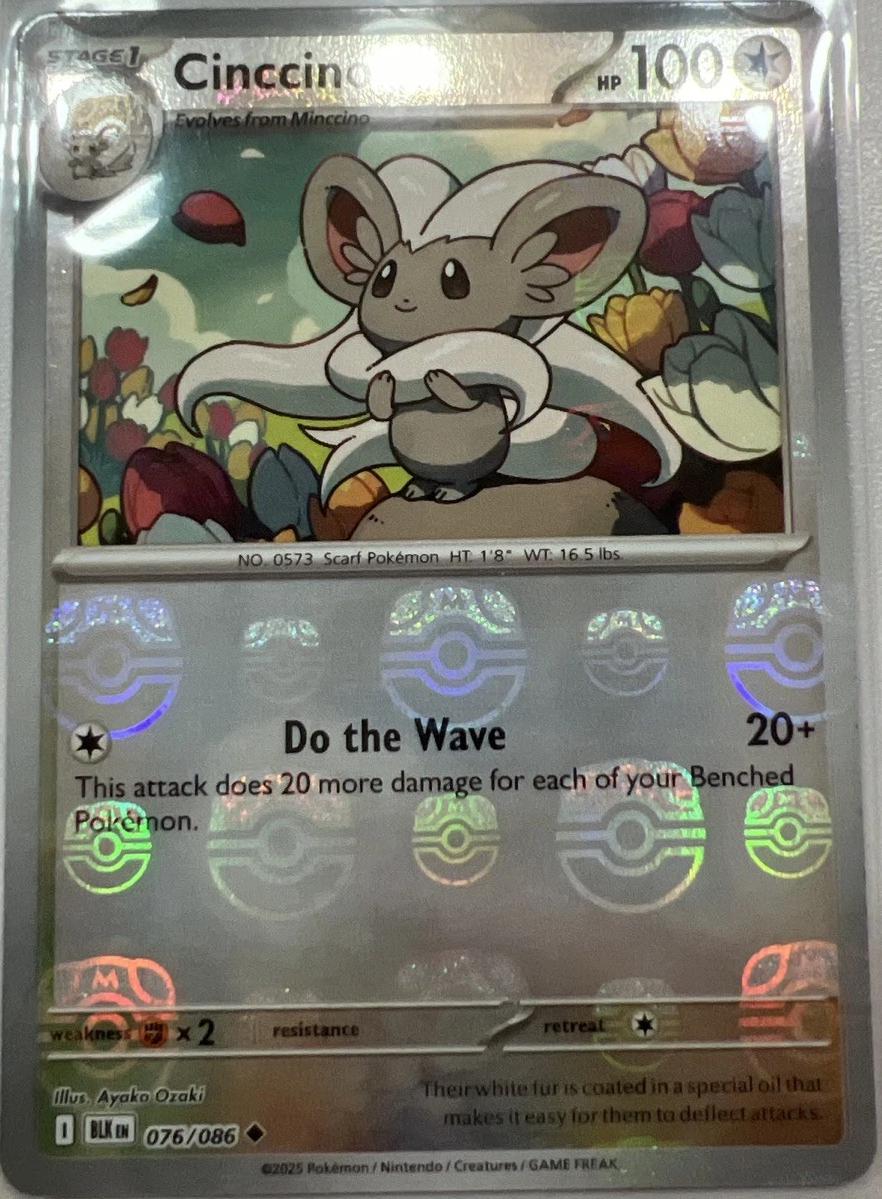 Cinccino