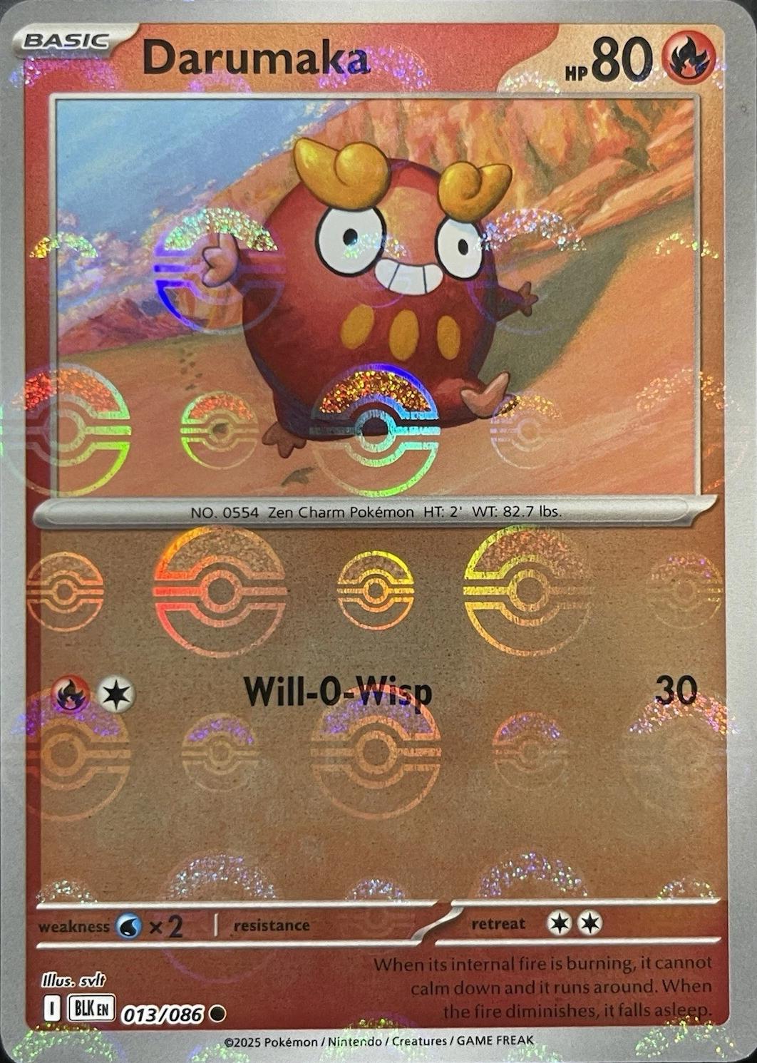 Darumaka
