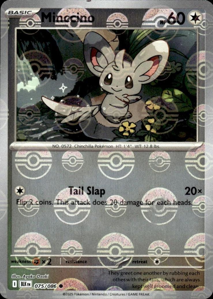 Minccino