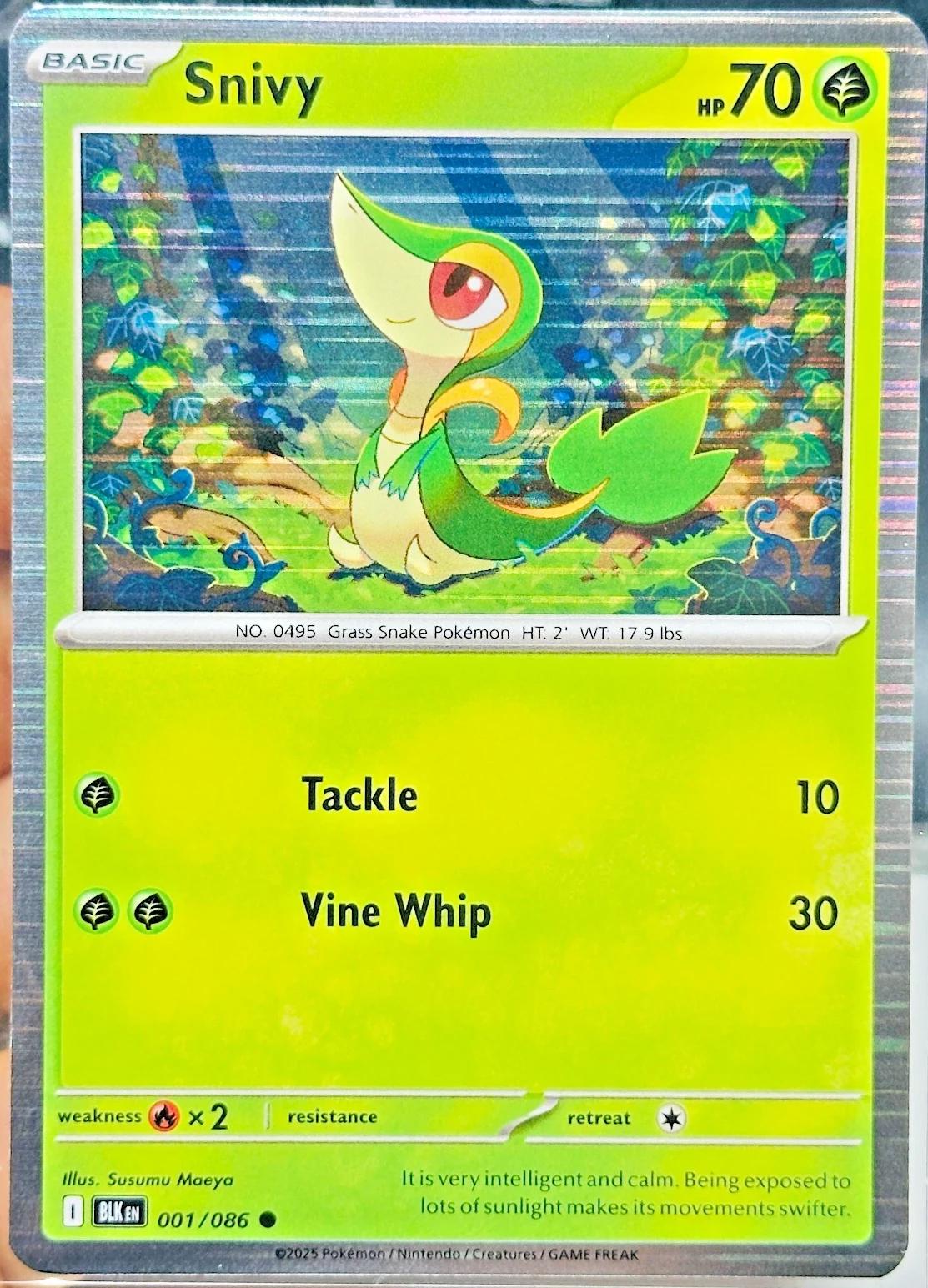 Snivy