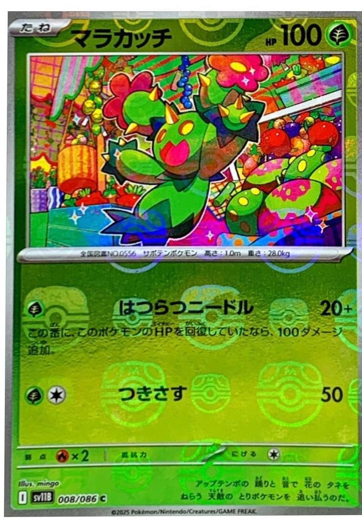 Maractus