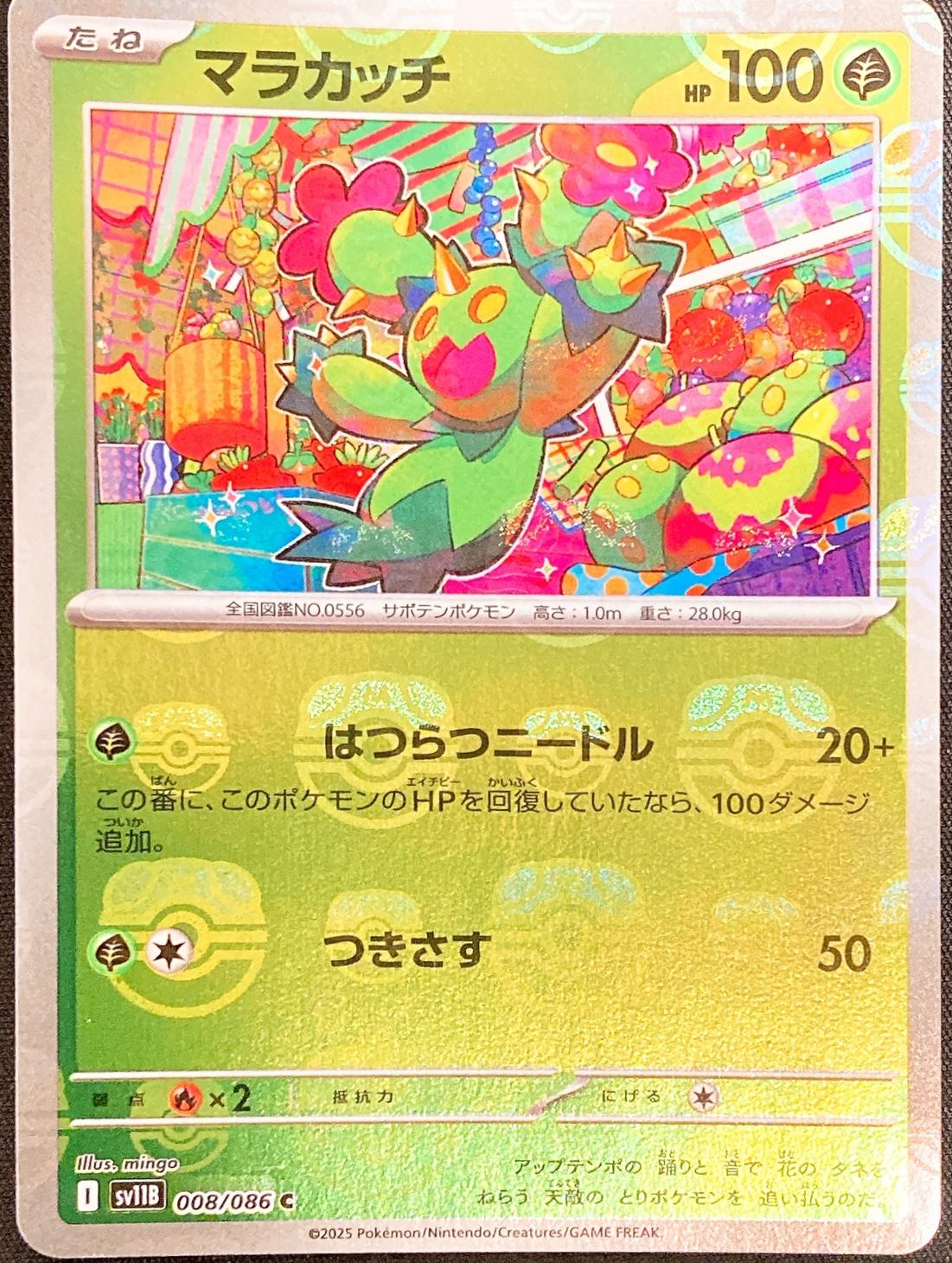 Maractus