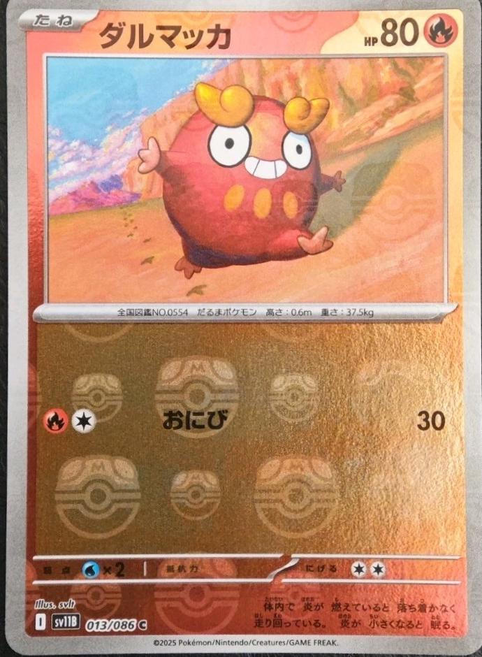 Darumaka