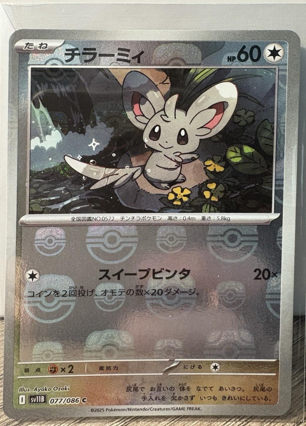 Minccino