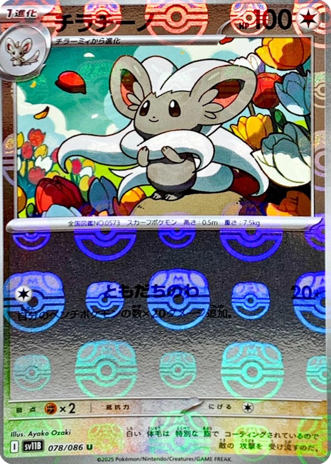 Cinccino