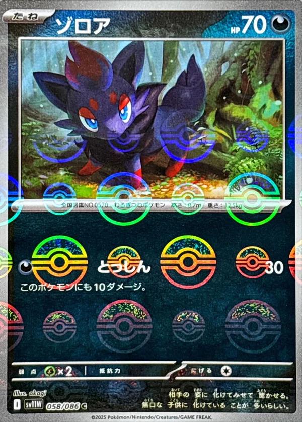 Zorua