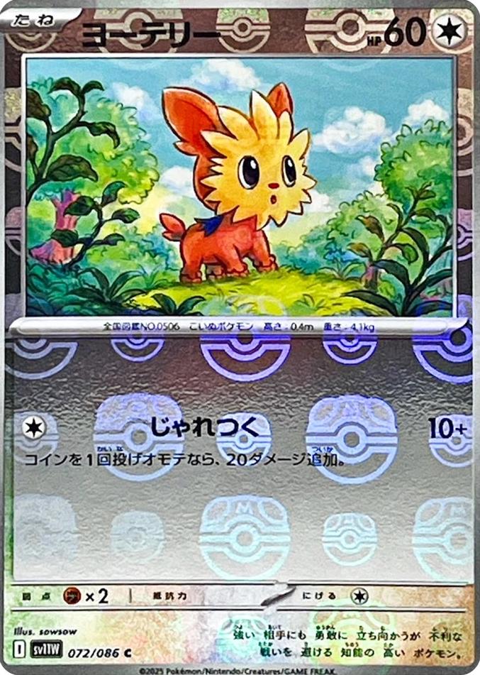 Lillipup